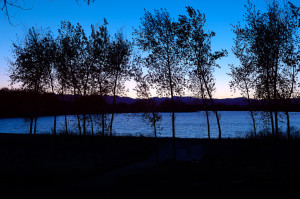 _DSC0950